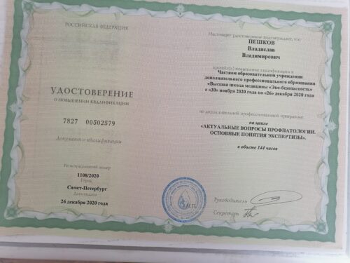 Пешков Владислав Владимирович